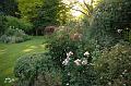 FilRoses_MmeDethier (49)